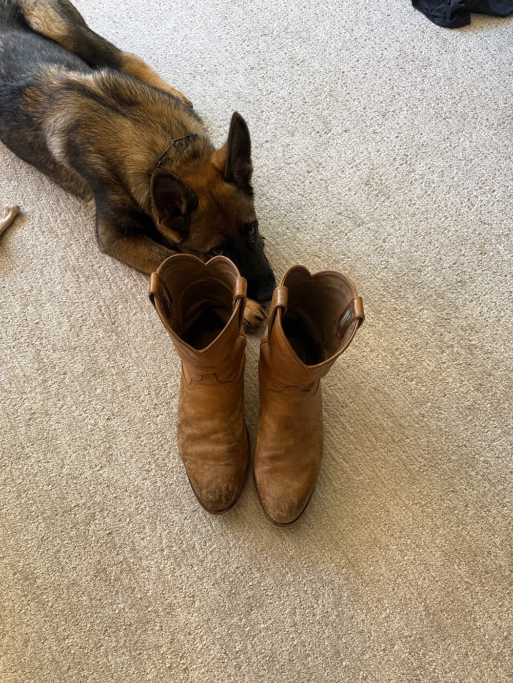 Tecovas Brown Leather Cowboy Boots
